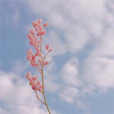 荒野行动1号玩家版本下载